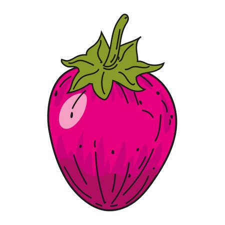Strawberry fruit hand drawing colorful doodle icon, organic farm product. Vector sketch illustration vintage, retro engraving styleのイラスト素材
