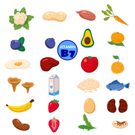 Set of Vitamin B7 origin natural sources. Healthy diary food rich biotin, meat, fish, vegetable, fruits, vegetables. Organic diet products, natural nutrition collection. Vector flatのイラスト素材