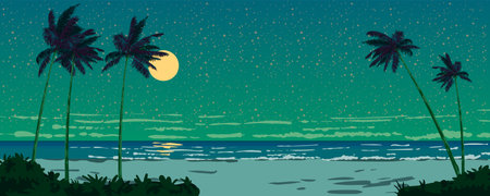 Night ocean view on the seashore, Moon, beach, palms, starry sky, horizonのイラスト素材