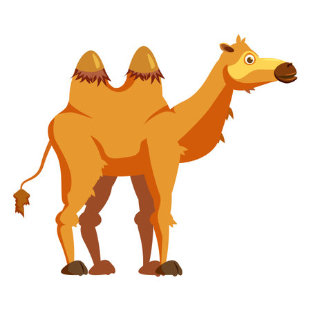 Camel two-humped, african animal. Vector illustration cartoon styleのイラスト素材