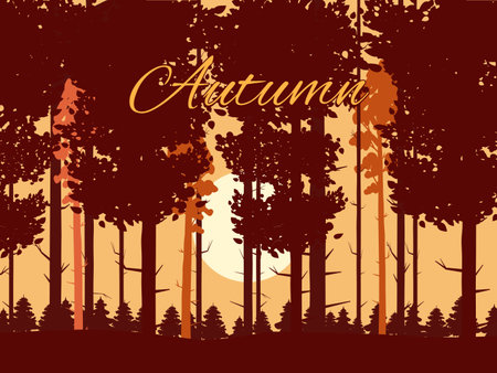 Autumn forest, fall trees with, sunsetのイラスト素材