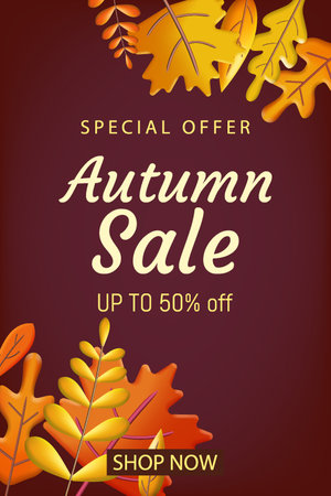 Autumn, Fall Sale poster 3d backgroundのイラスト素材