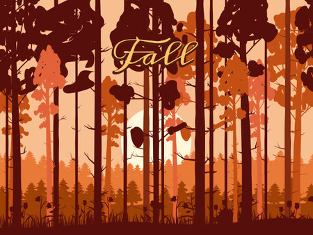 Autumn forest banner, fall trees with, sunsetのイラスト素材