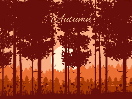 Autumn forest banner, fall trees with, sunsetのイラスト素材