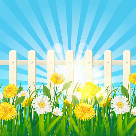 Spring green grass, daisy and dandelion flowers, white fenceのイラスト素材