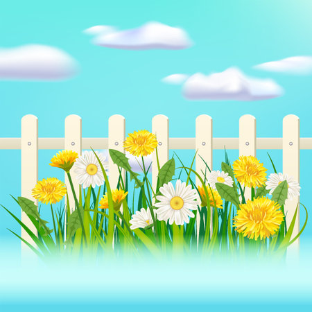 Spring green grass, daisy and dandelion flowers, white fenceのイラスト素材