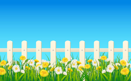 Spring landscape field green grass, daisy, dandelion flowersのイラスト素材