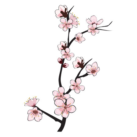 Spring blooming flowers branch Sakura cherryのイラスト素材