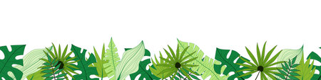 Vector banner of tropical leaves, floral border, seamless patternのイラスト素材