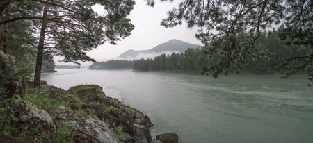 Mountain river in gloomy weather, natural light, panoramic view
