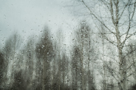 Drops on the glass and a blurry forest in the background, rainy weather