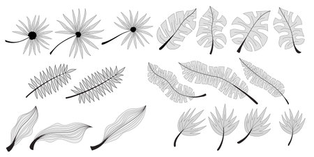 Set of vector tropical leaves in grayscaleのイラスト素材
