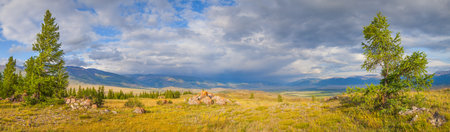 mountain steppe, tree. cloudy weather. summer travel. panoramic view.の写真素材