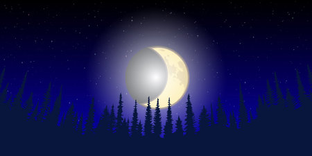 night landscape. The moon rises over the forest.のイラスト素材