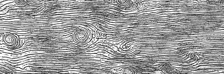 Old wood texture, grunge rough background, board