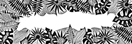 Vector banner of tropical leaves, floral frame, black and whiteのイラスト素材