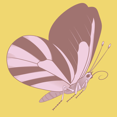 simple beige butterfly vector illustrationのイラスト素材