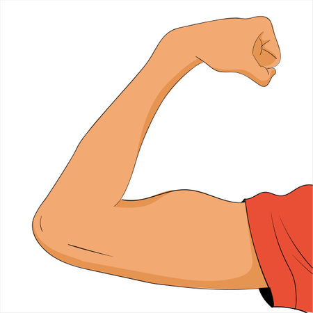 bent arm biceps vector illustrationのイラスト素材