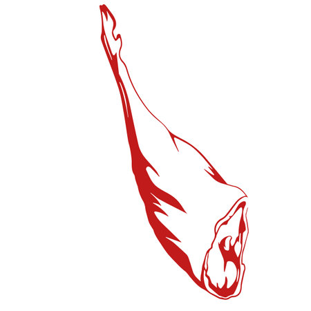 spain bull leg delicious jamonのイラスト素材