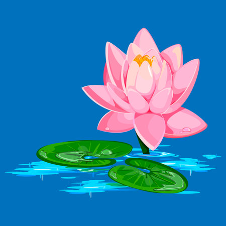 pink water lily in the swampのイラスト素材