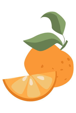 orange fruit with twig vector illustrationのイラスト素材