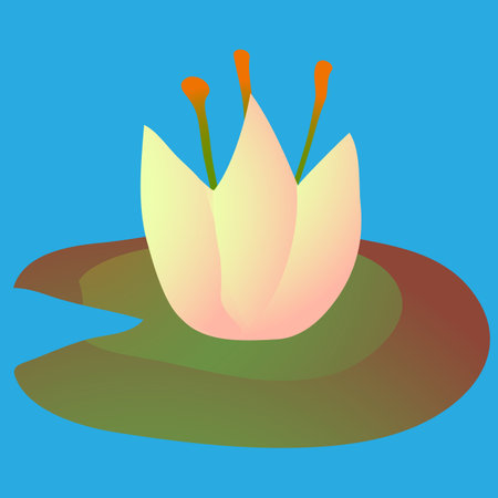 water lily in the swampのイラスト素材