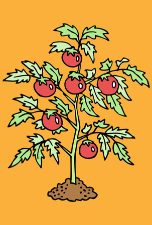 bush with tomatoes vector illustrationのイラスト素材