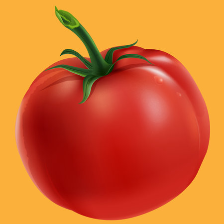red ripe tomato vector illustrationのイラスト素材