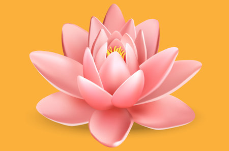 pink lotus lily on orange backgroundのイラスト素材