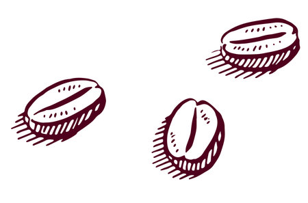 simple drawn coffee beans on white backgroundのイラスト素材