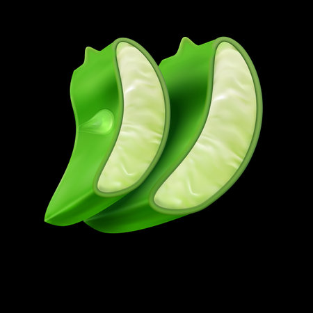 two cut pieces of aloe veraのイラスト素材