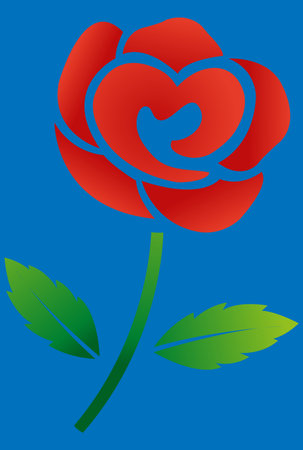 red beautiful rose vector illustrationのイラスト素材