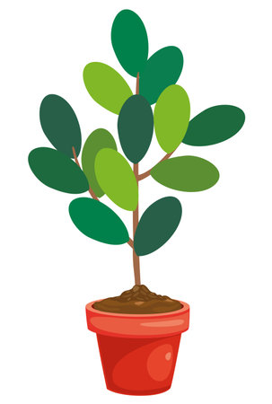 indoor tree in a potのイラスト素材