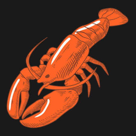 red boiled crayfish vector illustrationのイラスト素材