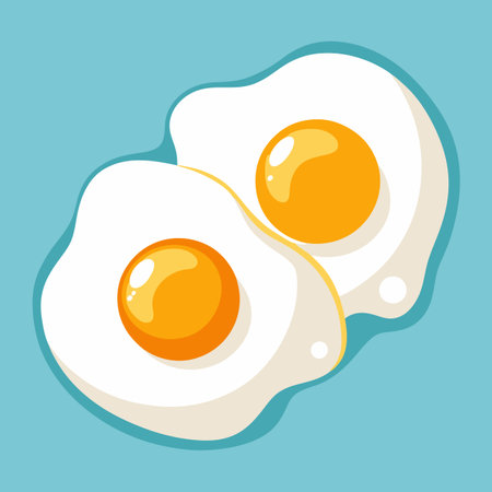 fried eggs from two eggs vector illustrationのイラスト素材