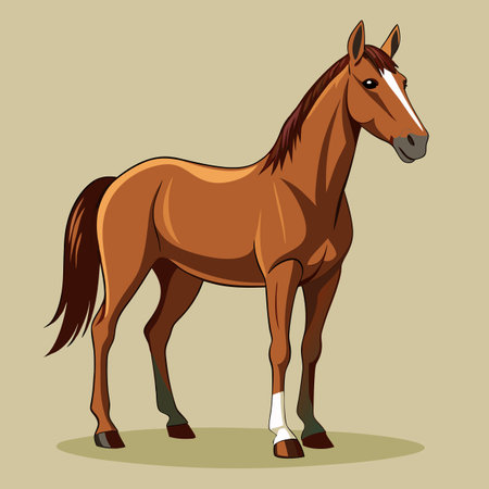 realistic horse image vector illustrationのイラスト素材