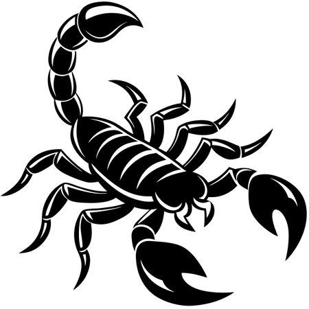 black outline scorpion vector illustrationのイラスト素材