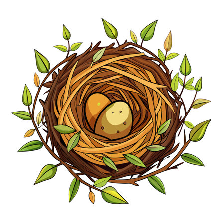 bird nest with eggs vector illustrationのイラスト素材