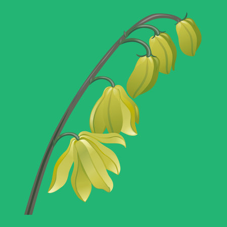 beautiful yellow plant flower vector illustrationのイラスト素材