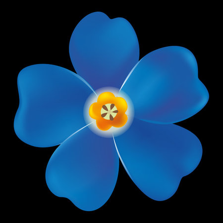 blue beautiful forget-me-not vector illustrationのイラスト素材