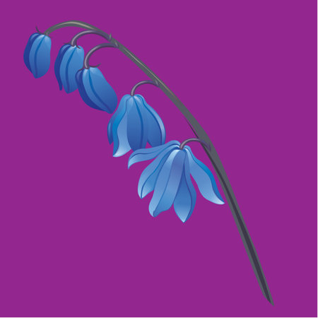 bellflower flower branch vector illustrationのイラスト素材