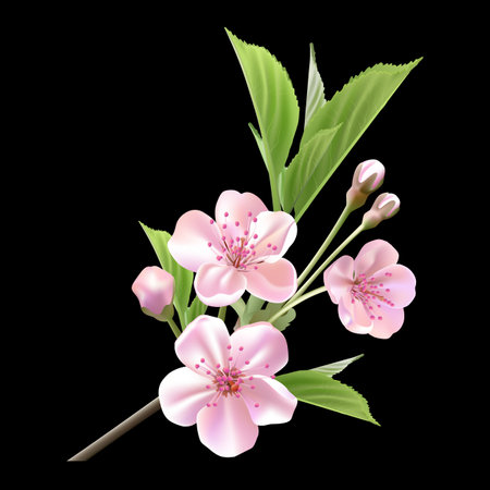 delicate flowers of a fruit treeのイラスト素材