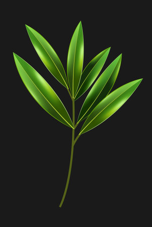 a branch with shiny sharp leavesのイラスト素材