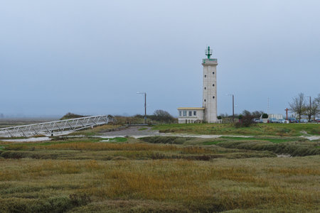 Unique lighthouse stands amidst a tranquil coastal landscape with overcast skies and surrounding marshland at dawnの写真素材