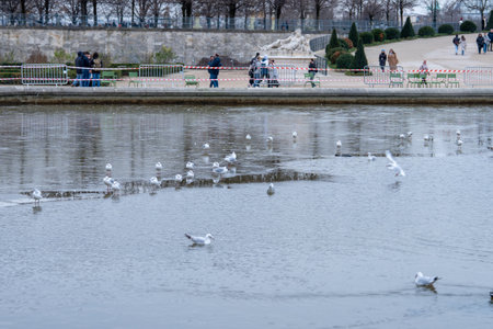 People enjoying a peaceful afternoon by the lake with seagulls in a calm park setting during early springの写真素材
