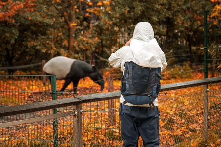 Person observing animal in an autumn setting at a wildlife park
