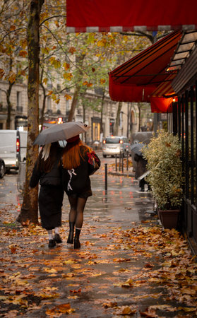 Two friends walking under an umbrella in a rainy city street covered in autumn leavesの写真素材