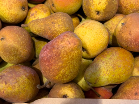Fresh assortment of ripe pears stacked in a market for sale during harvest seasonの写真素材