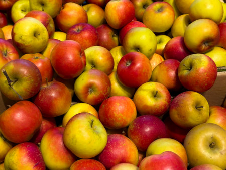 Freshly harvested apples stacked in a market displaying vibrant colors and varietyの写真素材