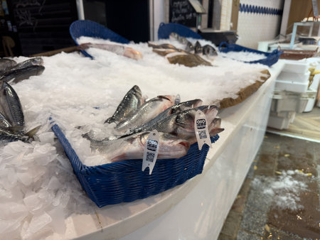 Freshly caught fish displayed on ice at a local market in the early morning hoursの写真素材